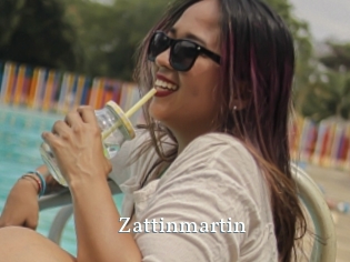 Zattinmartin