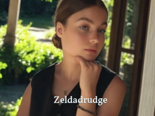 Zeldadrudge