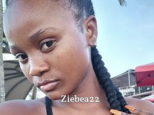 Ziebea22
